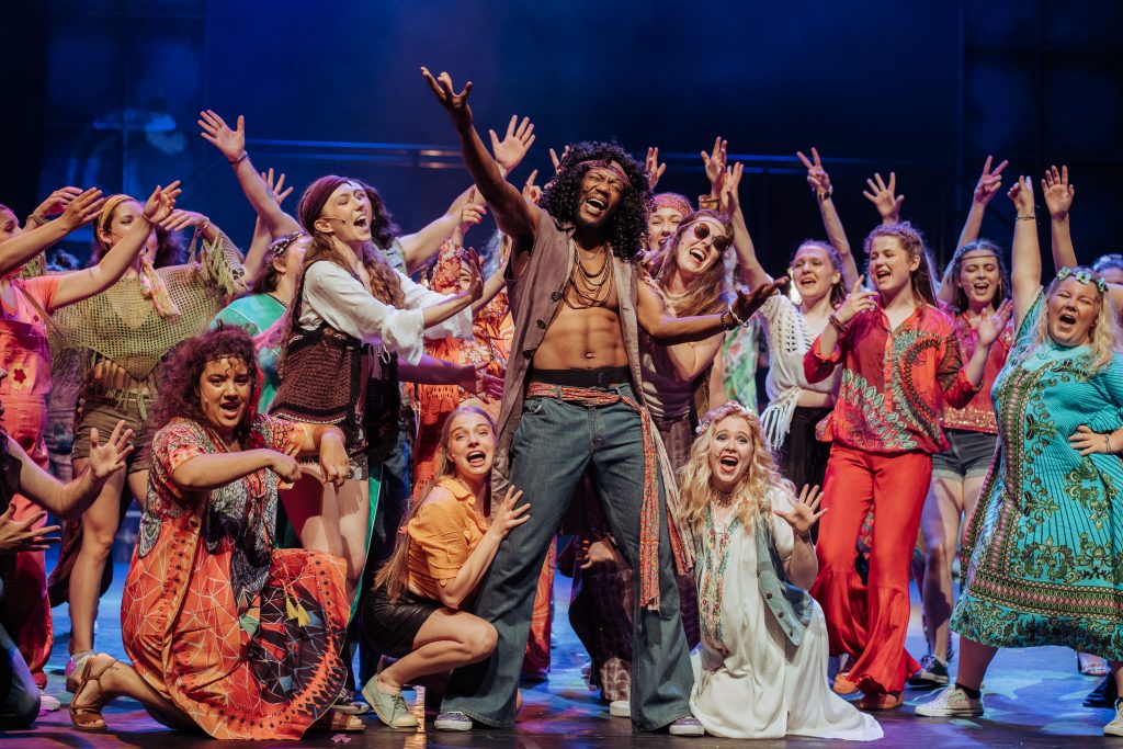 Hair, Copyright Alen Ljubic