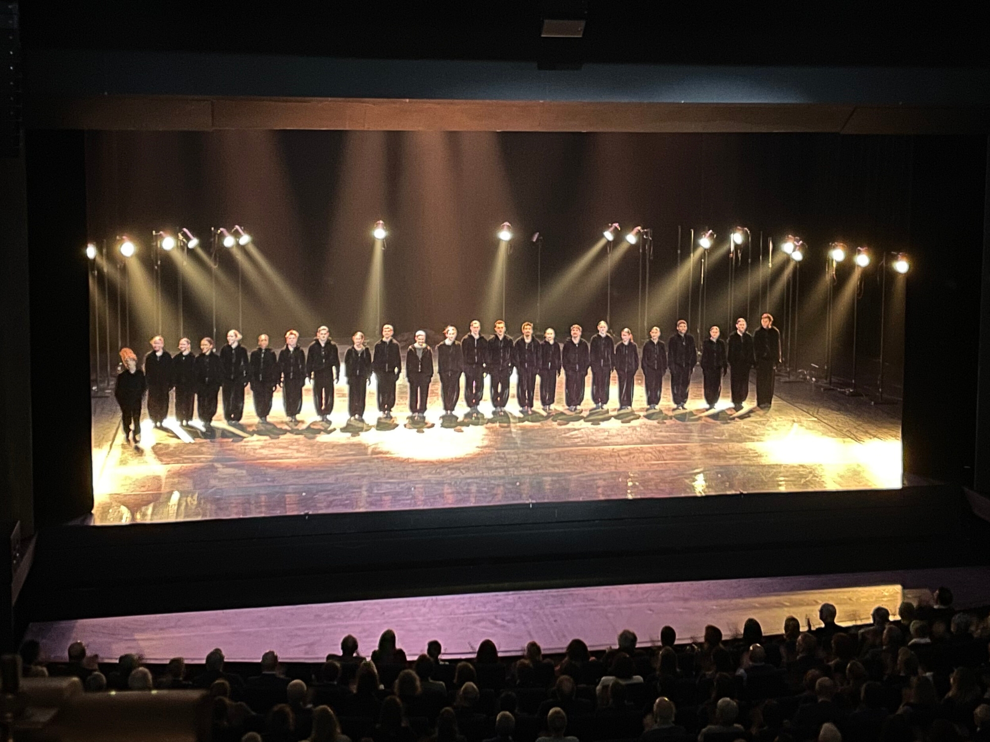 Internationales Weltklasse-Ballett im Theater im Pfalzbau